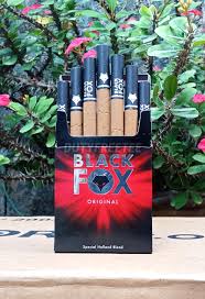 Black Fox thumb 6